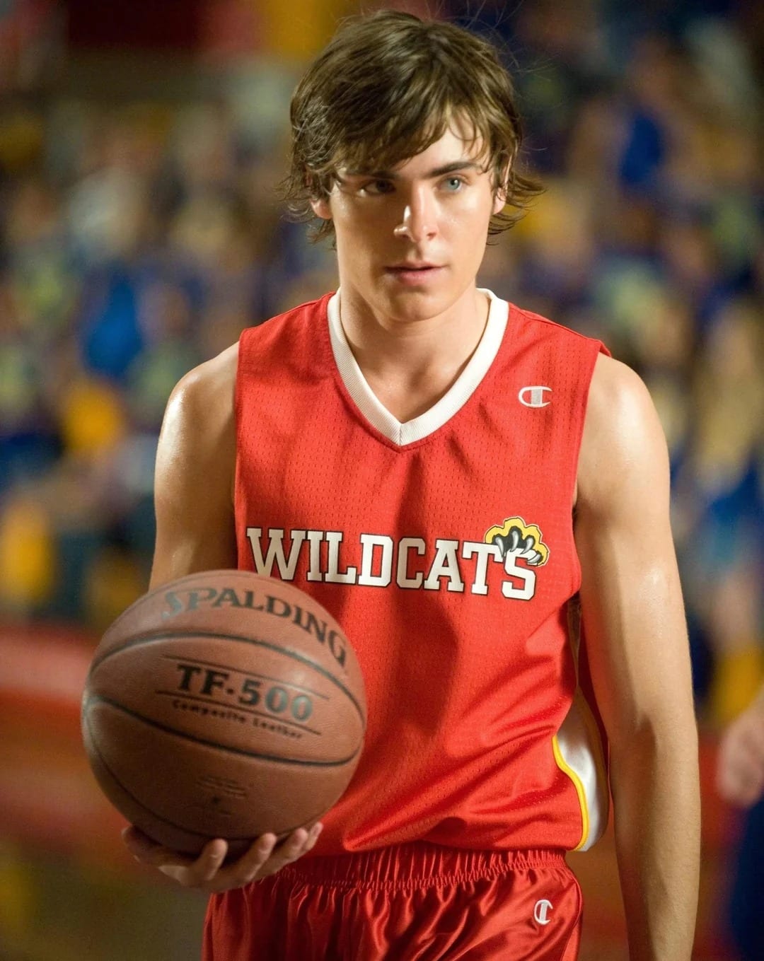 Zac Efron as Troy Bolton